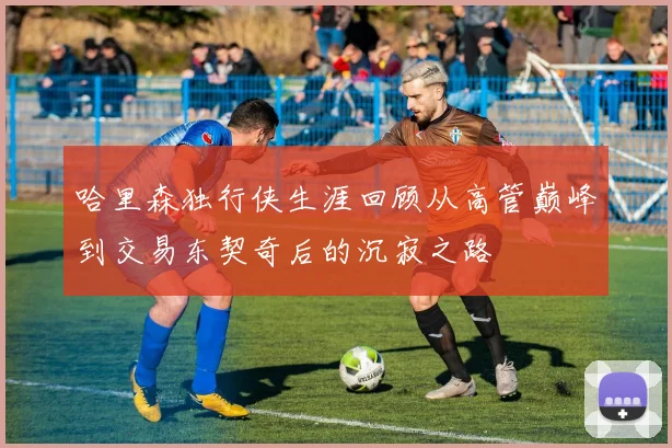 哈里森独行侠生涯回顾从高管巅峰到交易东契奇后的沉寂之路