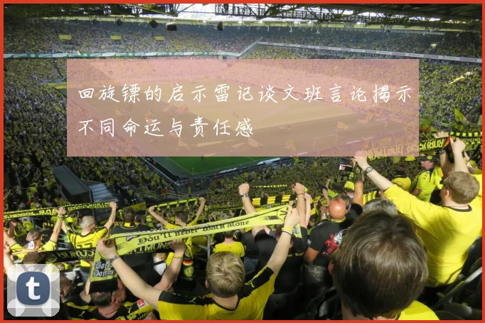 回旋镖的启示雷记谈文班言论揭示不同命运与责任感